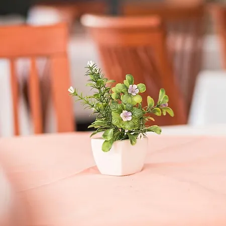 Hygge Hotel Biograd Na Moru