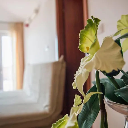 Hotel Hygge Biograd Na Moru