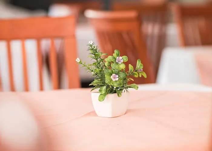 Hygge מלון ביוגראד נה מורו