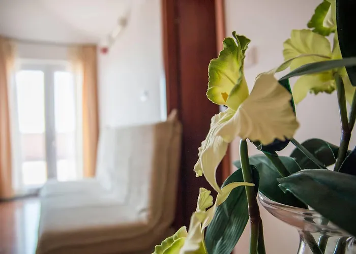 Hotel Hygge Biograd Na Moru